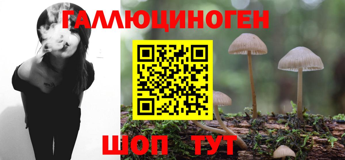 где купить наркотик  Вход с VPN  Псилоцибиновые грибы мухоморы  Канаш  Псилоцибиновые грибы GOLDEN TEACHER 